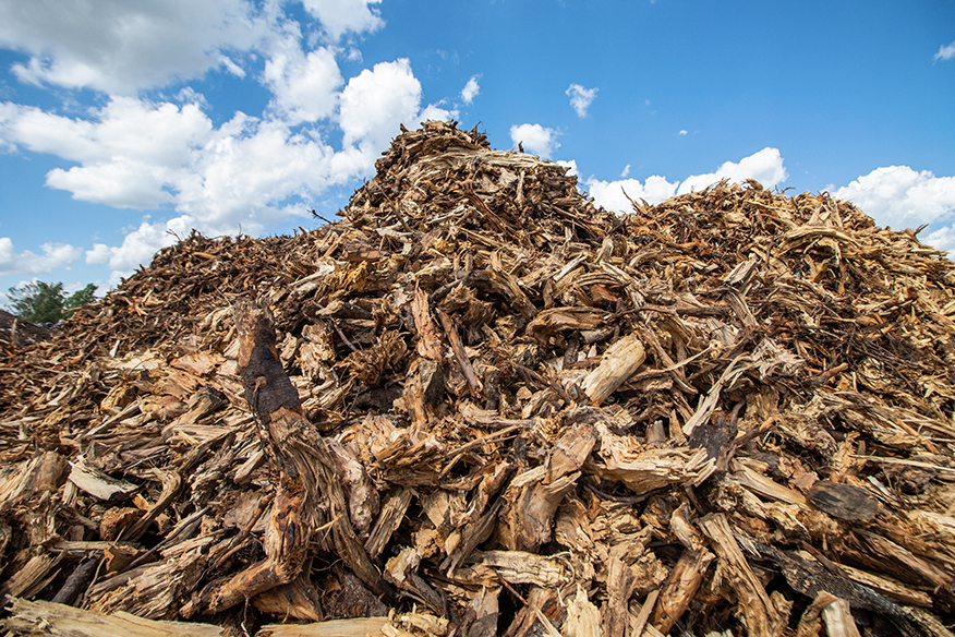 RDF and biomass testing